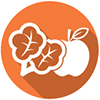 orange_icon